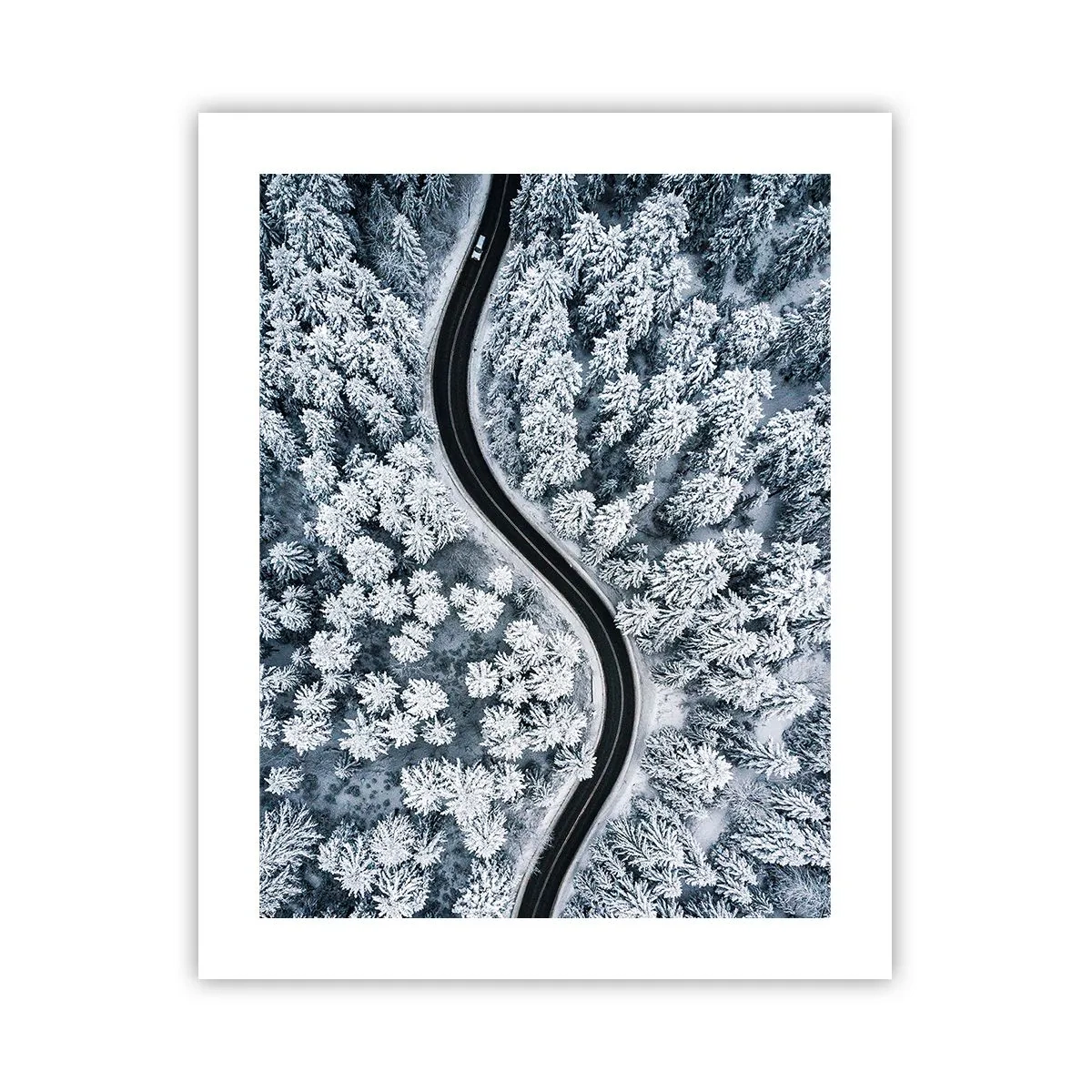 Poster - Prin pădurea de iarnă - 40x50 cm