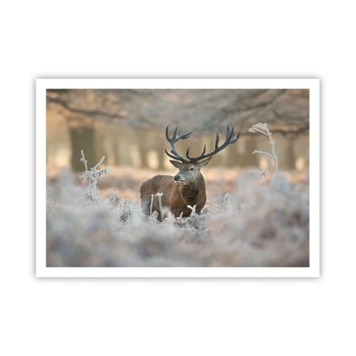 Poster - O dimineață răcoroasă - 100x70 cm