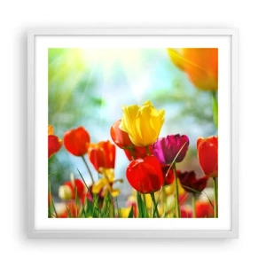 Poster în ramă albă - Toate culorile soarelui - 50x50 cm