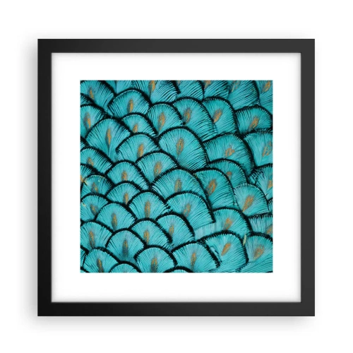 Poster în ramă neagră - Marea gală a penelor - 30x30 cm