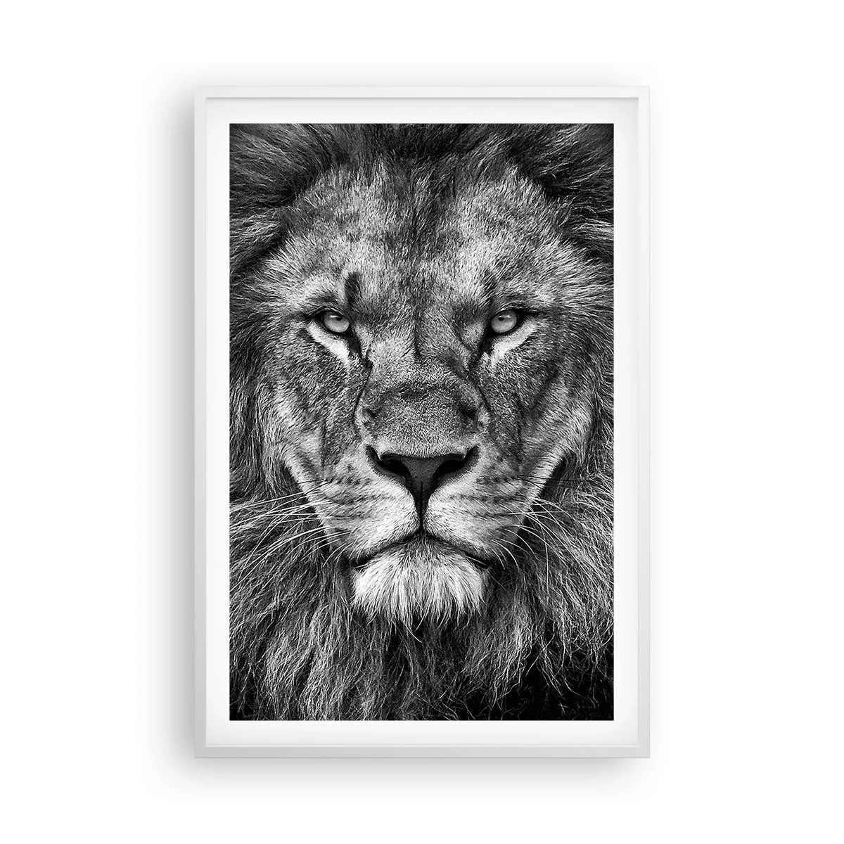 Poster în ramă albă - În ținuta de încoronare - 61x91 cm