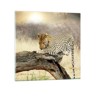 Tablou pe sticlă - Mă duc pe drumul meu - 60x60 cm