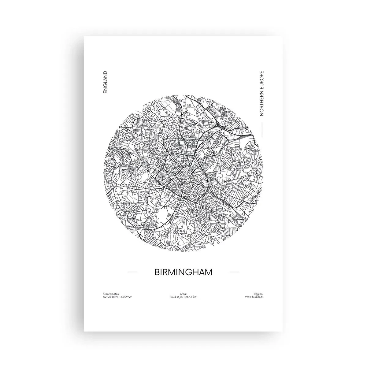 Poster - Anatomia Birmingham - 61x91 cm
