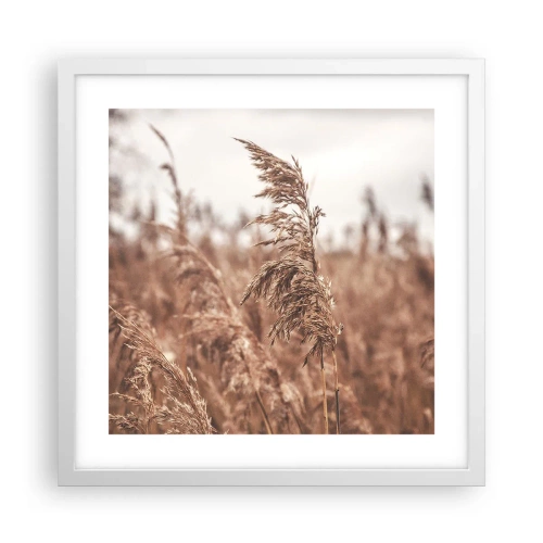 Poster în ramă albă - Toamna pe câmpuri - 40x40 cm