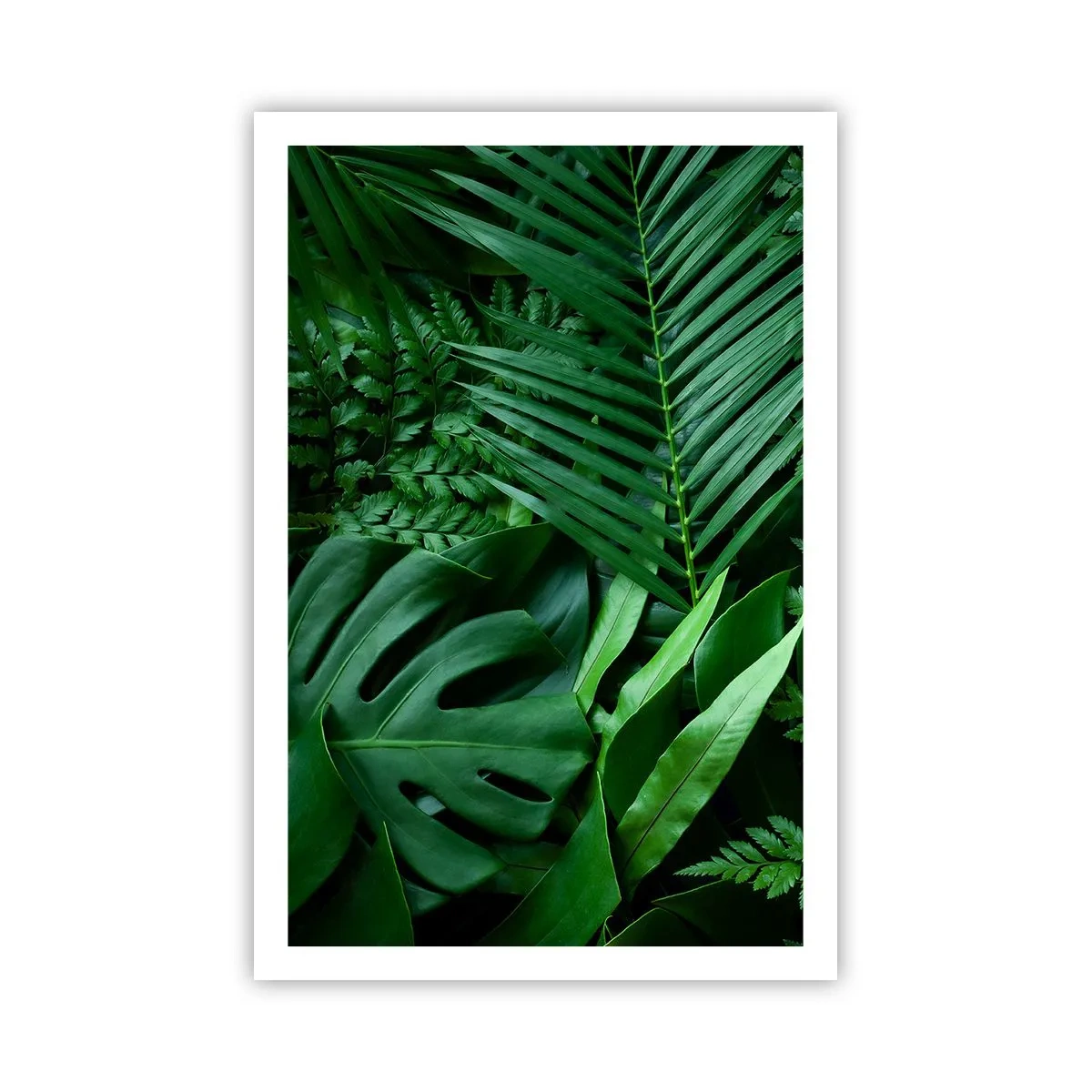 Poster - Înfășurate în verde - 61x91 cm