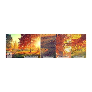 Mostră tapet Premium Canvas - Roșcatul este frumos - Peisaj, Parc, Natură - 100x30 cm