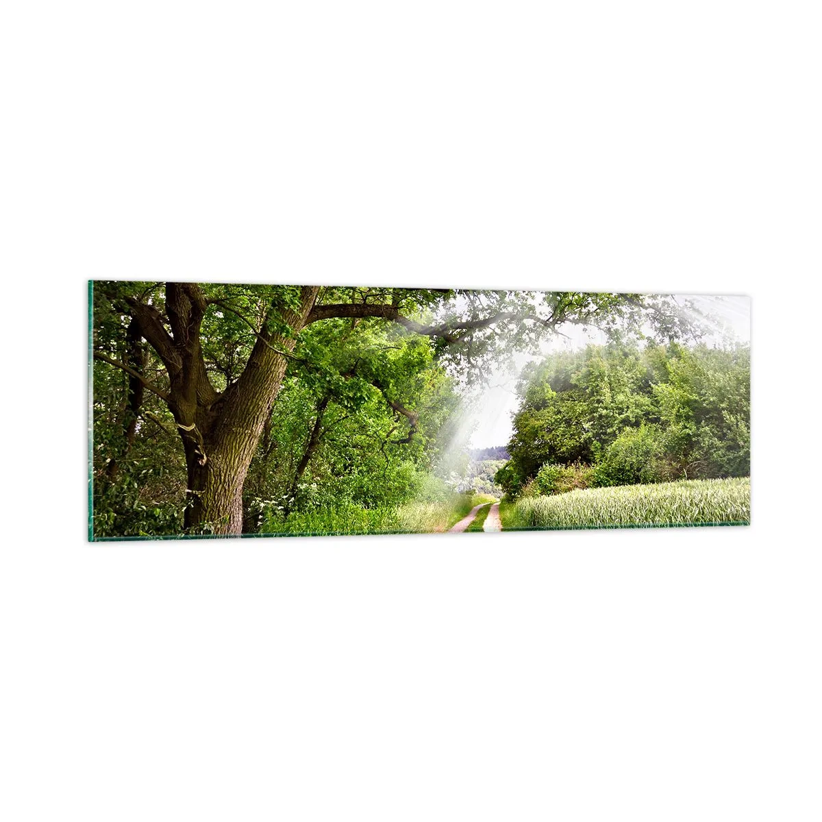 Tablou pe sticlă - Et in Arcadia ego - 90x30 cm