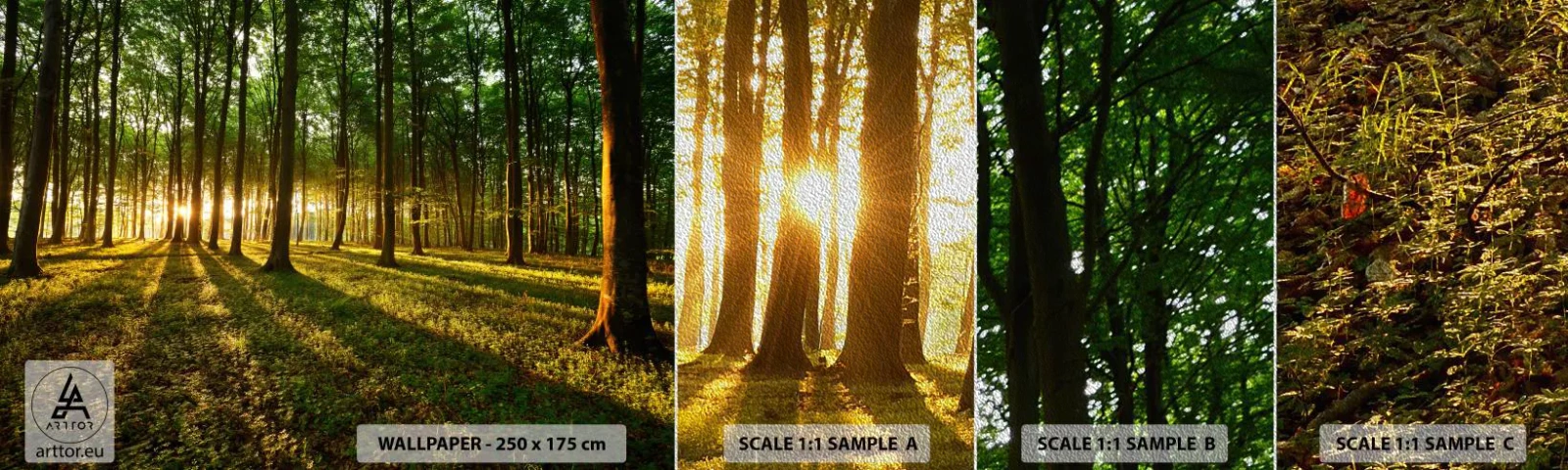 Mostră tapet Premium Sand - Fotografia tuturor primăverilor - Peisaj, pădure, Natură - 100x30 cm