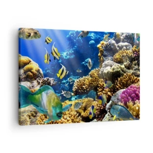 Tablou pe pânză Canvas - Un recif de corali colorat cu pești tropicali în adâncurile oceanului. - 70x50cm - Trafic intens pe traseul de vacanță - Decorațiune modernă pentru perete pentru living și dormitor ARTTOR