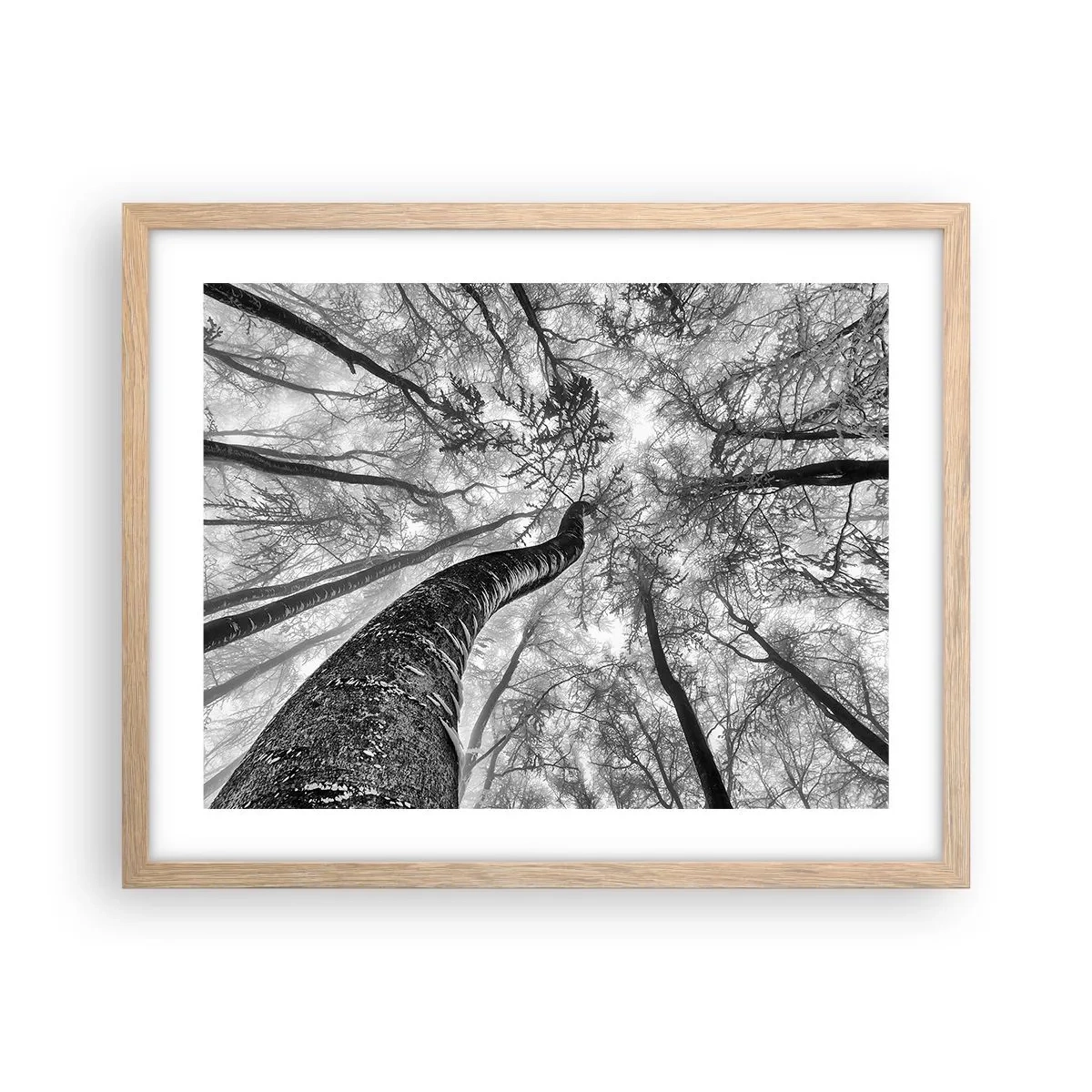 Poster în ramă de stejar deschis - Cursa spre lumină - 50x40 cm