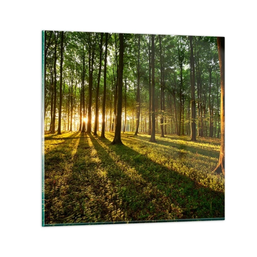 Tablou pe sticlă - Fotografia tuturor primăverilor - 30x30 cm