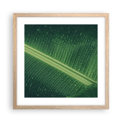 Poster în ramă de stejar deschis - Structura verdelui - 40x40 cm