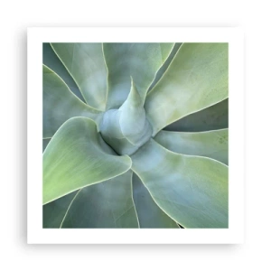 Poster - Nașterea verdeții - 50x50 cm