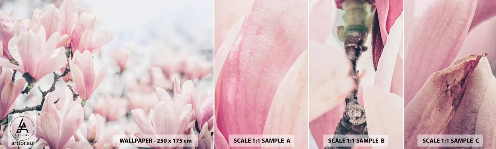 Mostră tapet autocolant Deluxe Sticker - Idealul de subtilitate - Magnolie, Flori, Arborele Magnolia - 100x30 cm