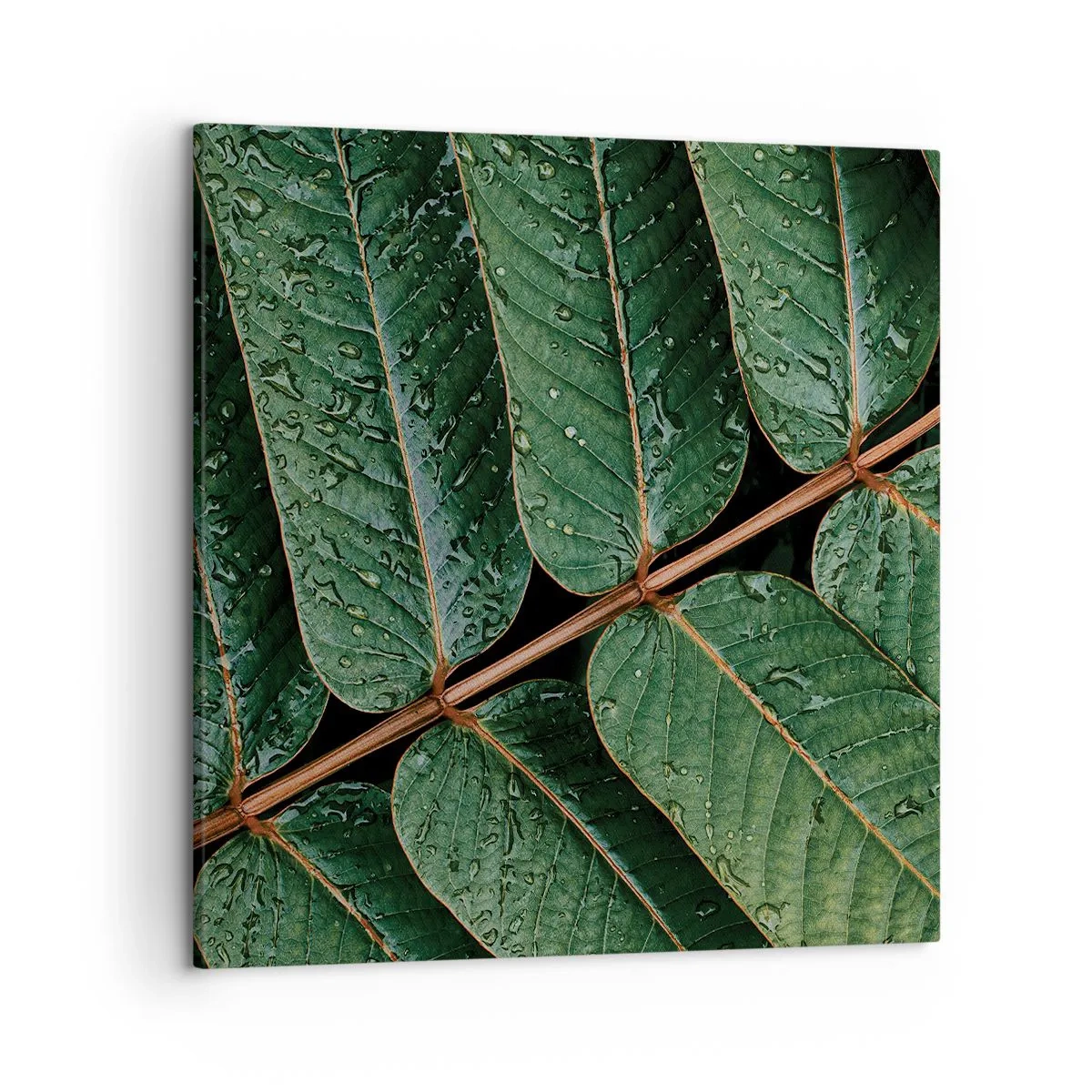 Tablou pe pânză - Într-un ritm verde - 50x50 cm