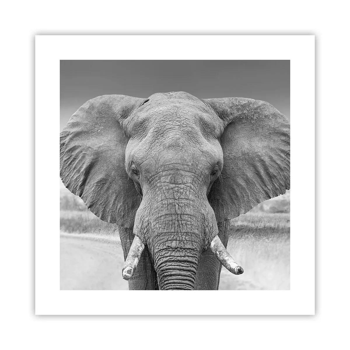 Poster - Bun venit în lumea mea - 40x40 cm