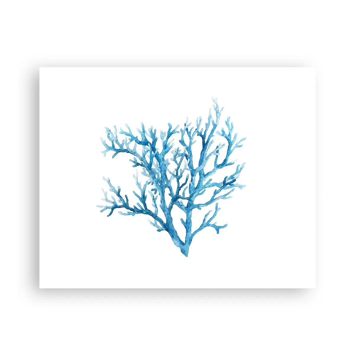 Poster - Filigranul marin - 50x40 cm