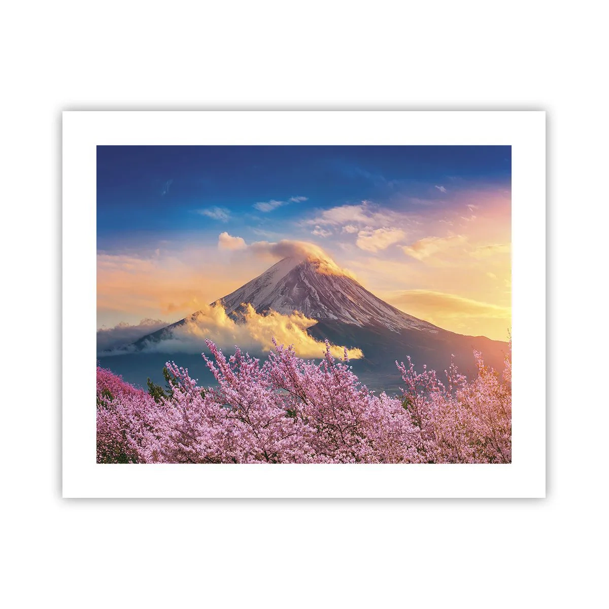 Poster - Sfințenia japoneză - 50x40 cm