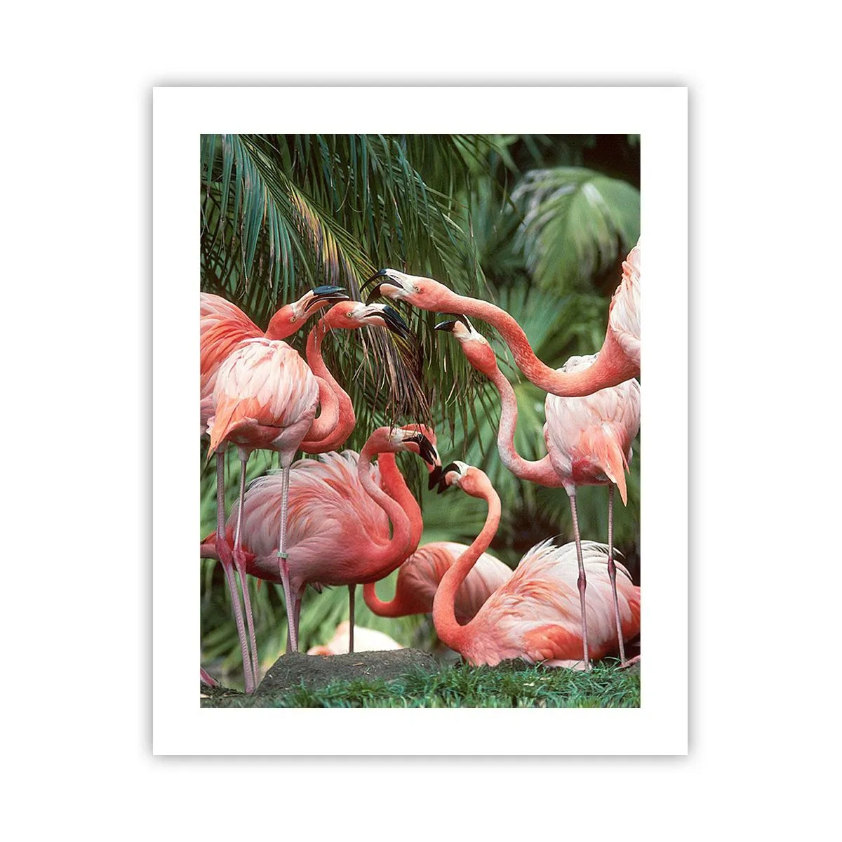 Poster - Bârfa de după-amiază - 40x50 cm