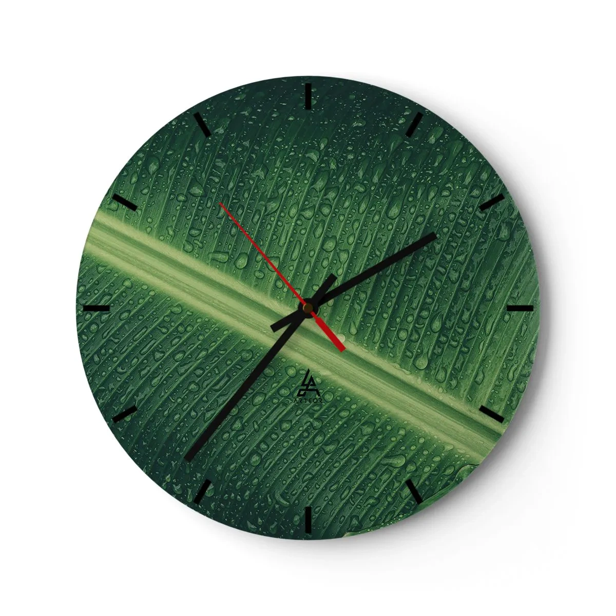 Ceas de perete - Ceas pe sticlă - Structura verdelui - 40x40 cm