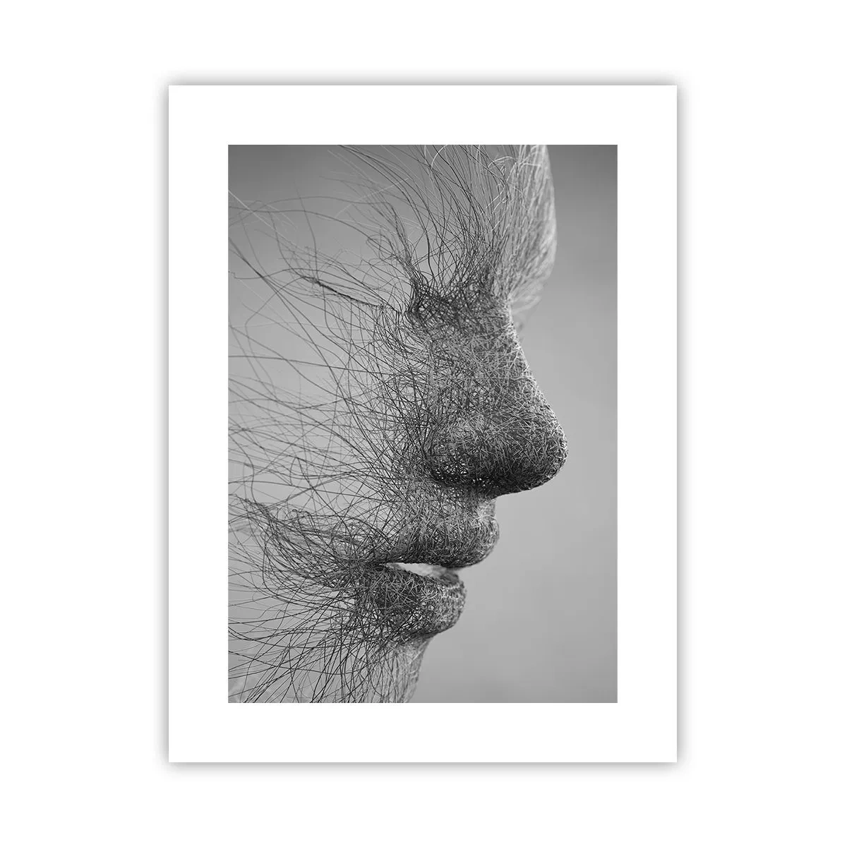 Poster - Spiritul vântului - 30x40 cm