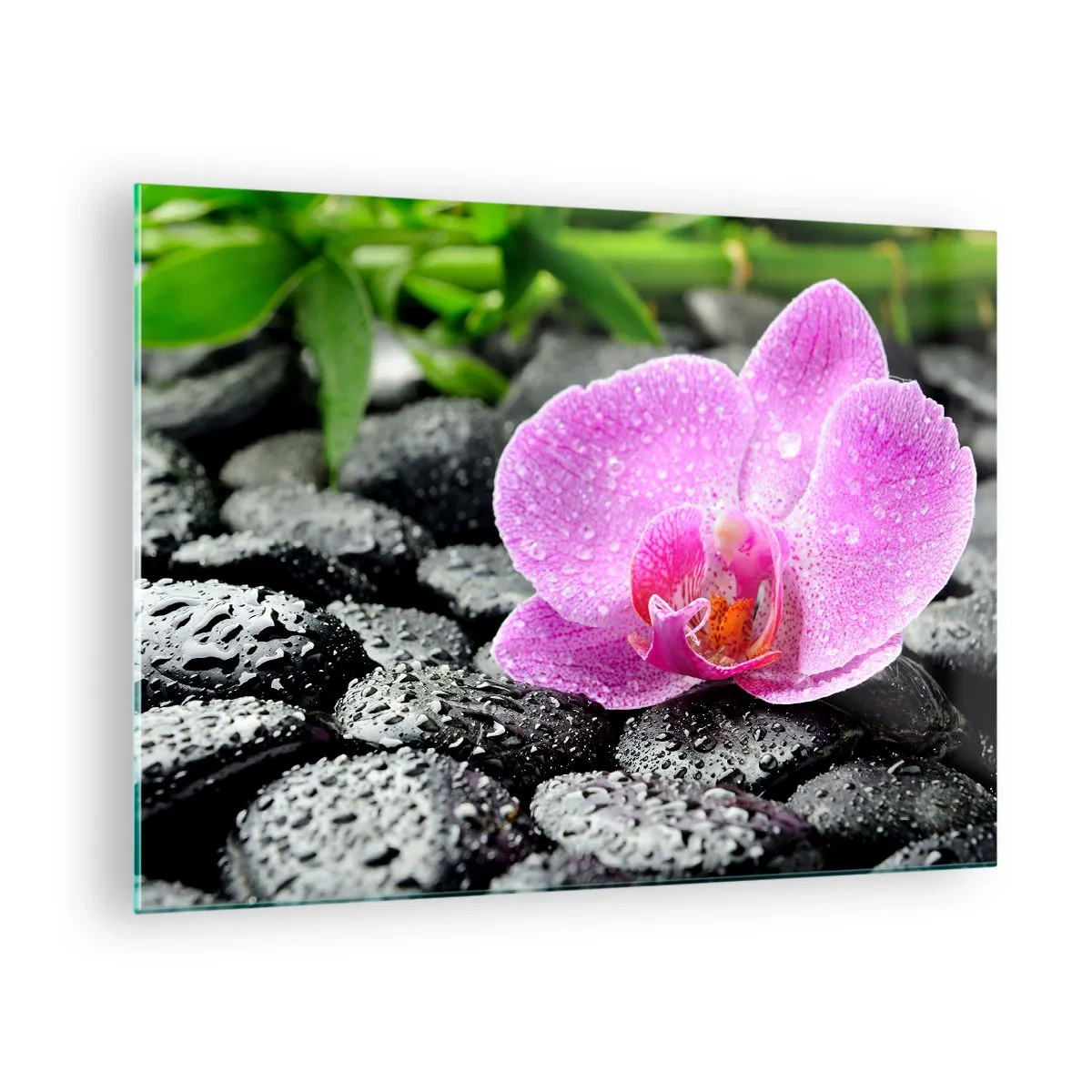 Tablou pe sticlă - Orhidee roz pe pietre negre ude - 70x50cm - Ca o inimă deschisă - Decorațiune modernă pentru perete pentru living și dormitor ARTTOR