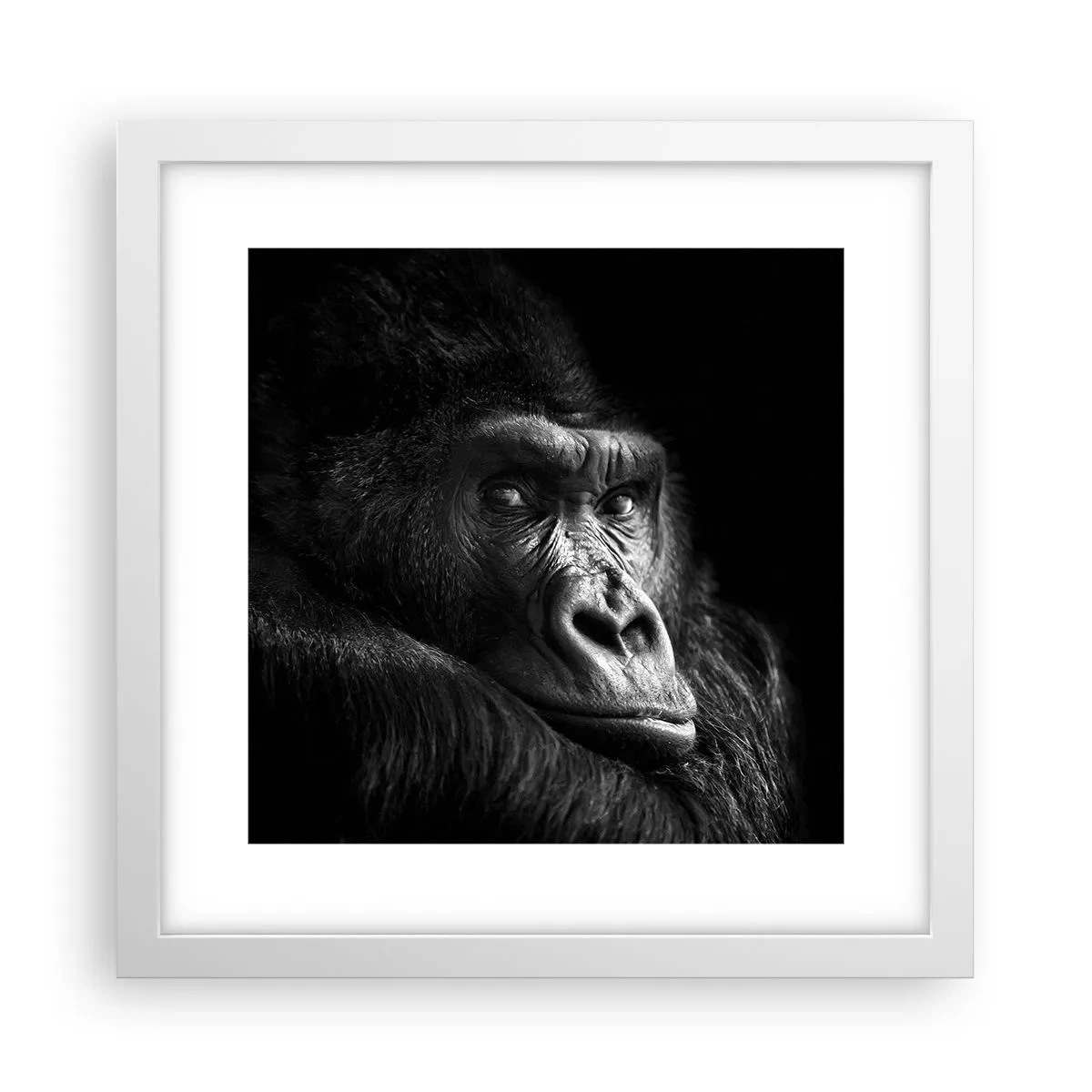 Poster în ramă albă - Și la ce te uiți? - 30x30 cm