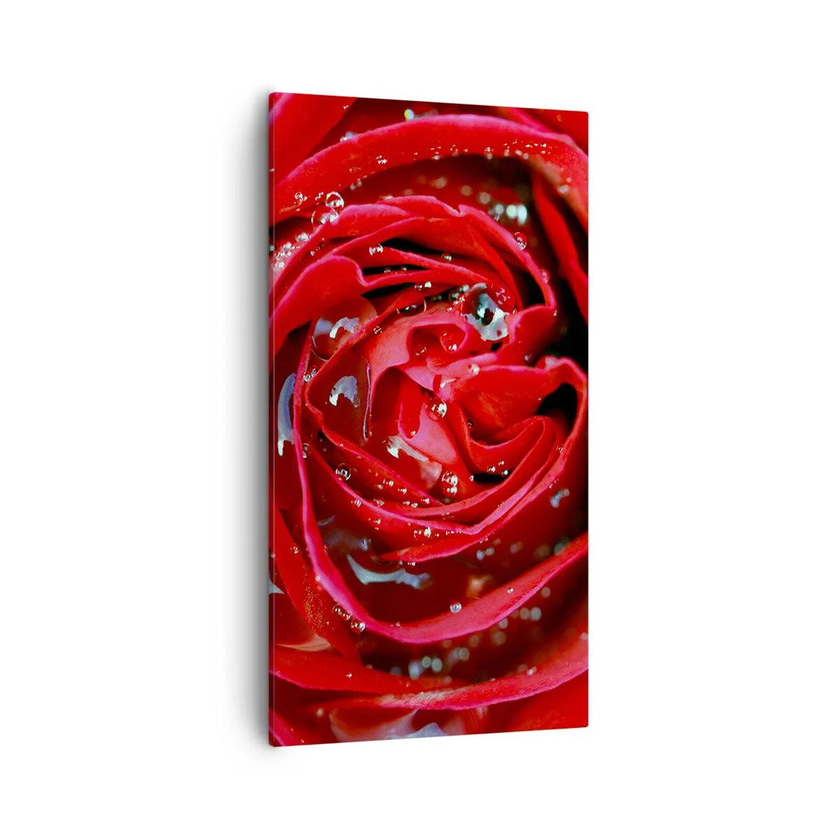 Tablou pe pânză - În picături de rouă - 55x100 cm