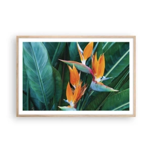 Poster în ramă de stejar deschis - Este o floare sau o pasăre? - 91x61 cm