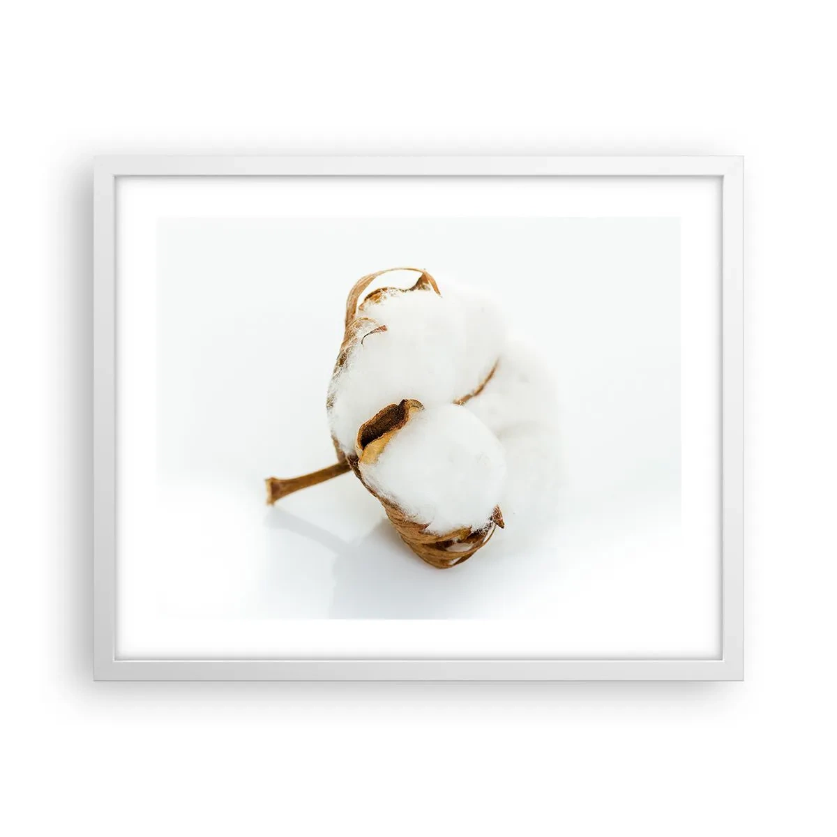 Poster în ramă albă - Moale prin natură - 50x40 cm