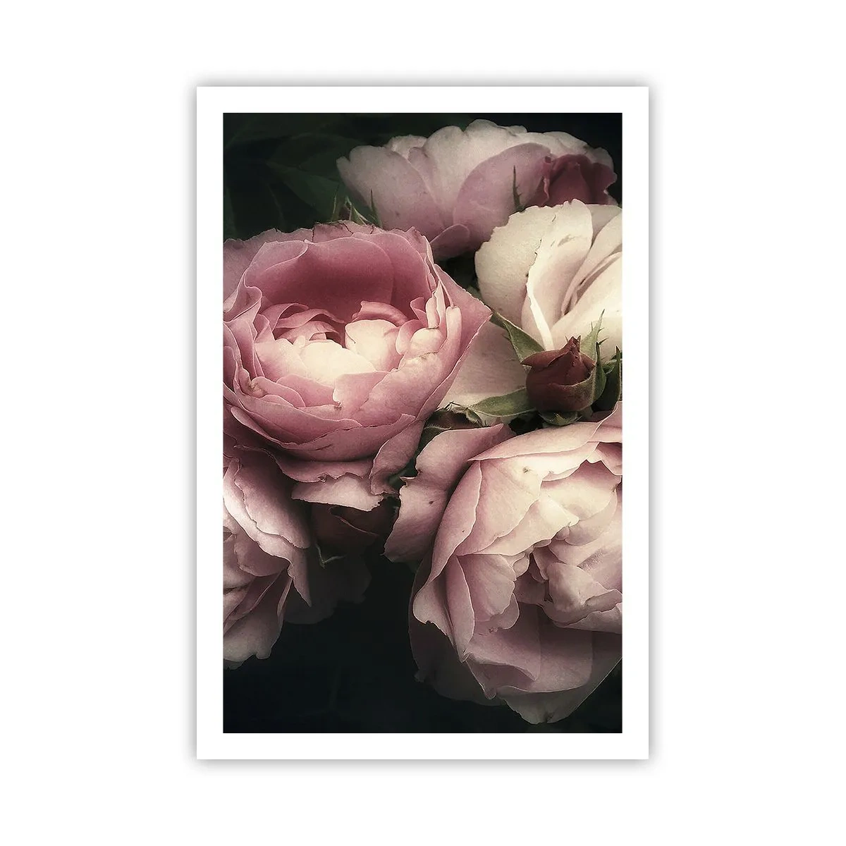 Poster - Farmecul belle epoque - 61x91 cm