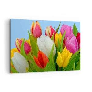 Tablou pe pânză - Un curcubeu floral în picături de rouă - 120x80 cm
