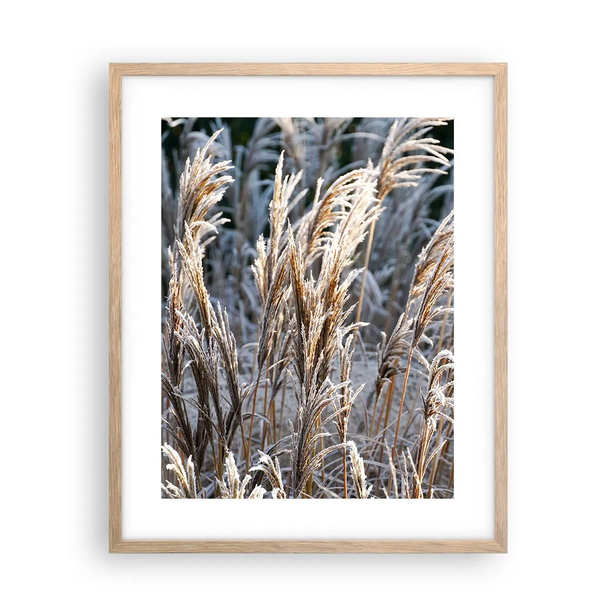 Poster în ramă de stejar deschis - Împodobite cu brumă - 40x50 cm