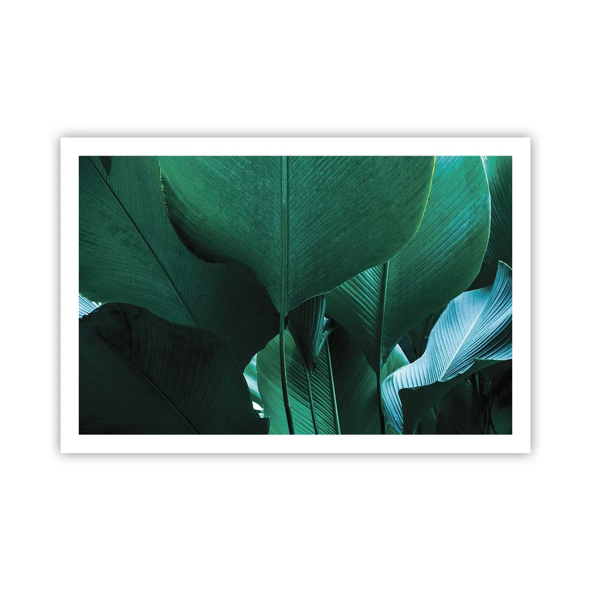 Poster - Cu frunza la lumină - 91x61 cm