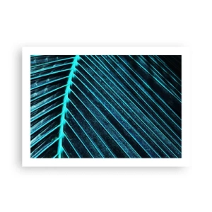 Poster - Textura verdelui - 70x50 cm