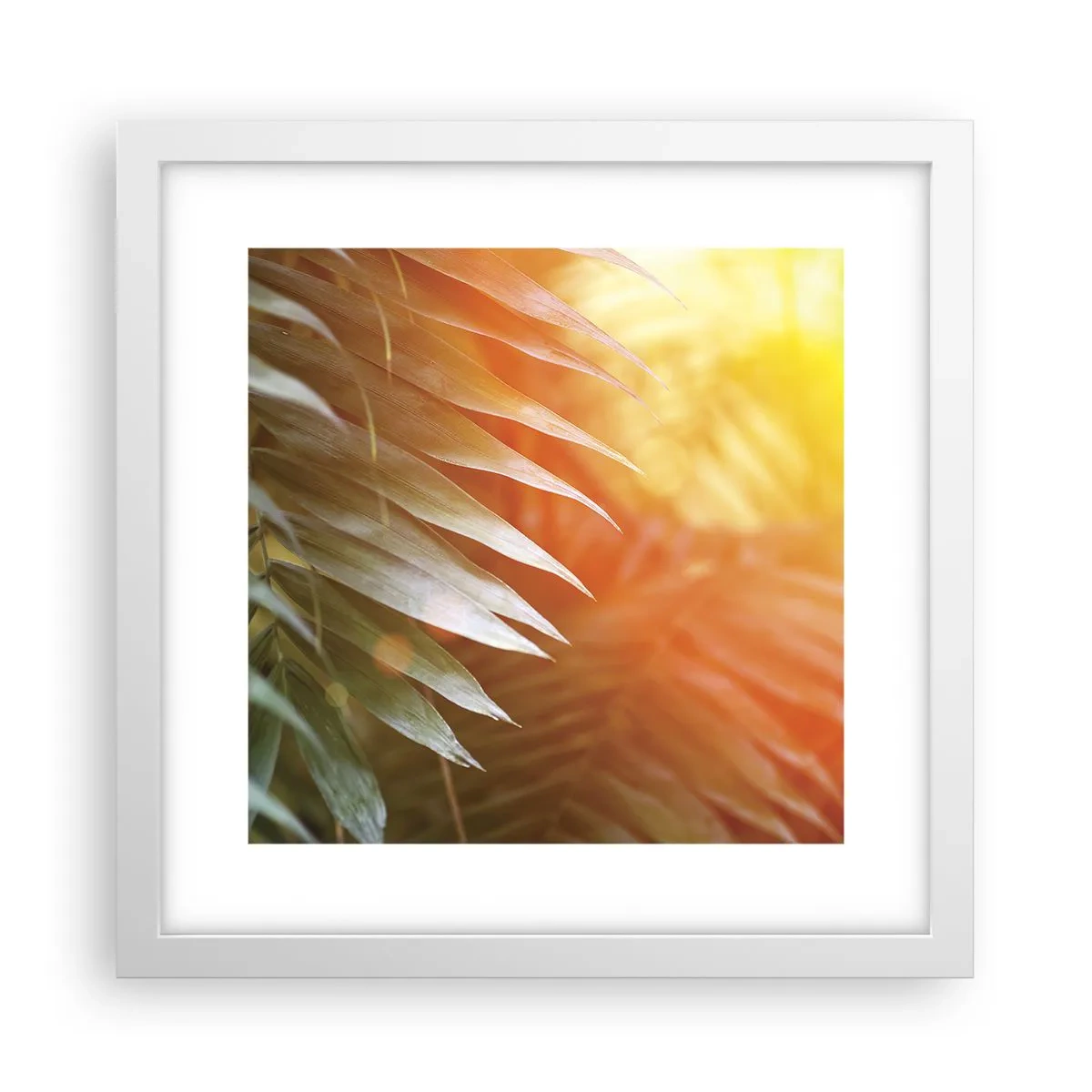 Poster în ramă albă - Dimineață în junglă - 30x30 cm