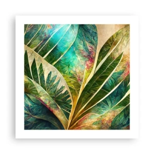 Poster - Culorile tropicelor - 50x50 cm