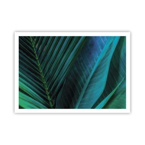 Poster - Anatomia verdelui - 100x70 cm