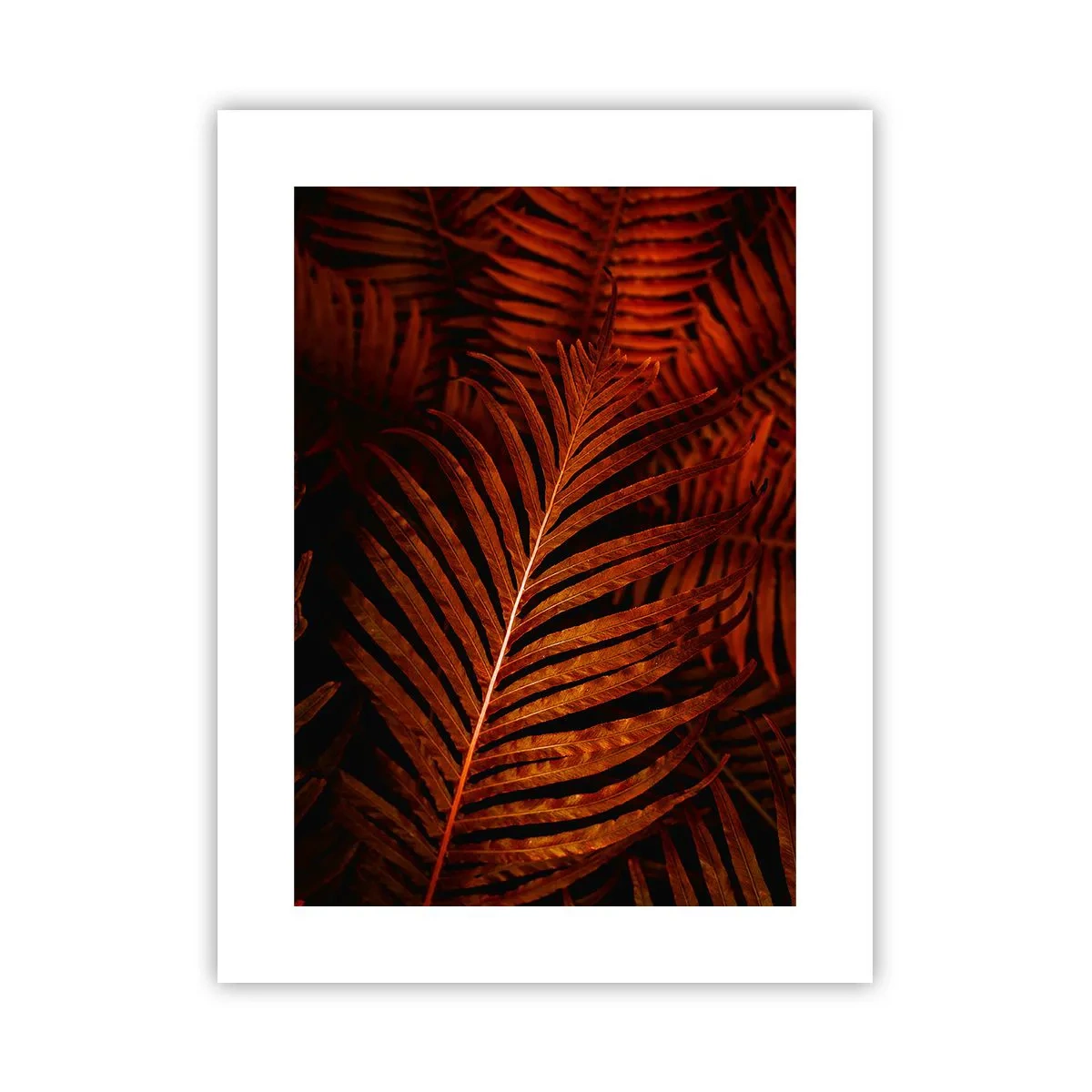 Poster - Ardoarea vieții - 30x40 cm