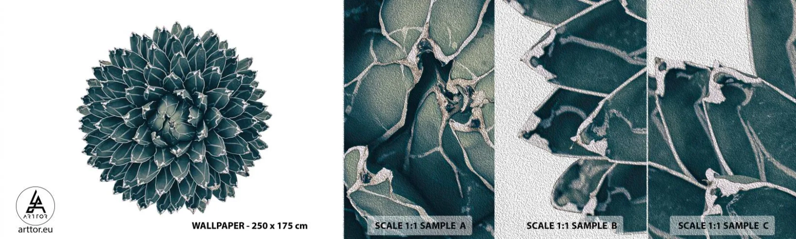 Mostră tapet Premium Sand - Steaua deșertului - Cactus, Agavă, Grafică - 100x30 cm