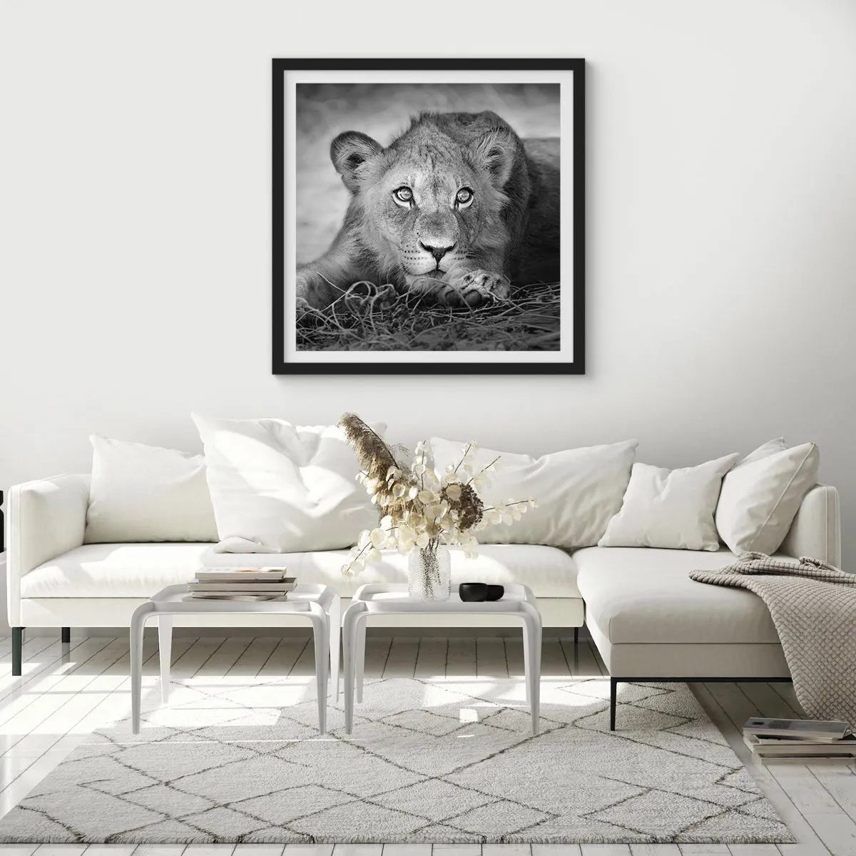 Poster în ramă neagră - Pisicuța regală - 60x60 cm