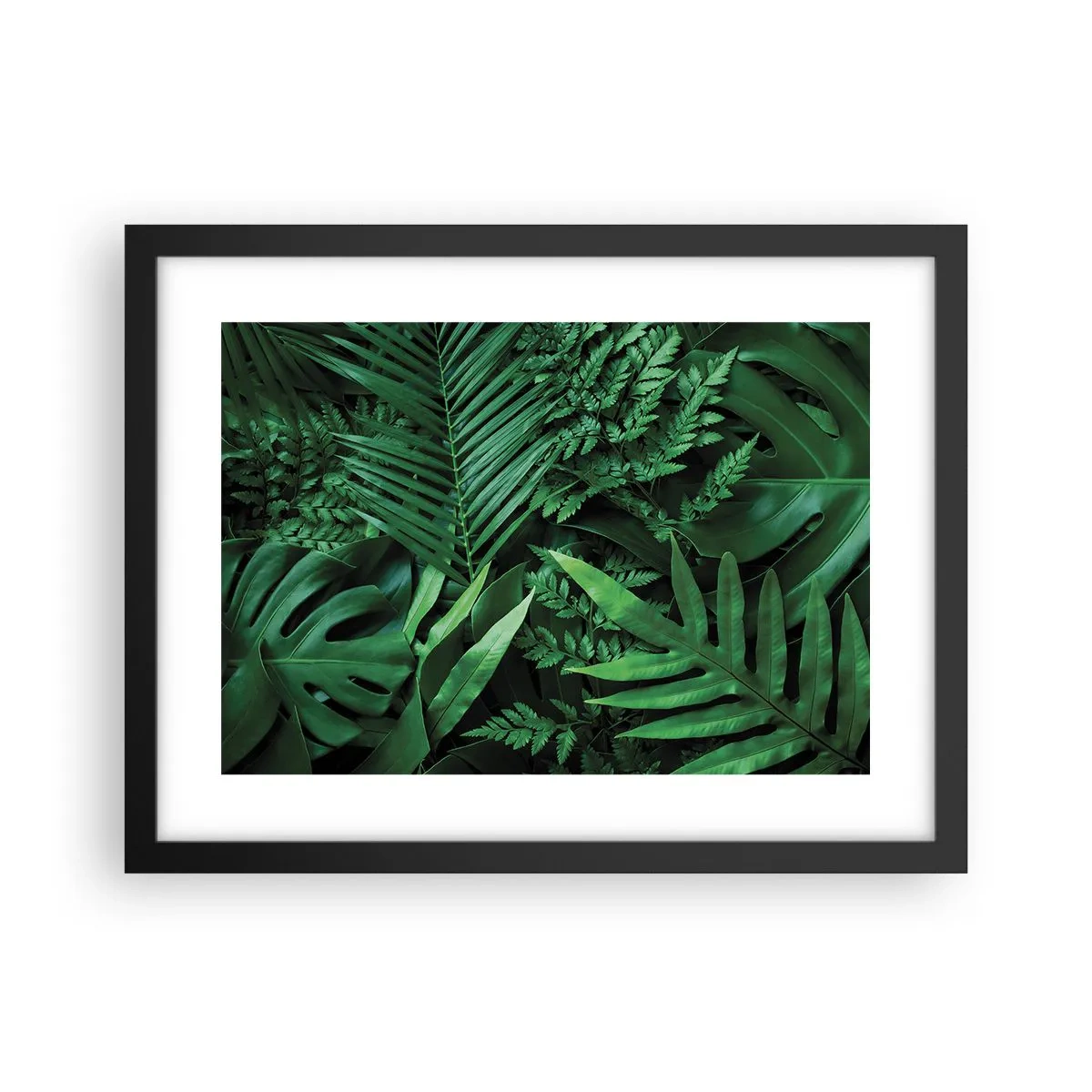 Poster în ramă neagră - Înfășurate în verde - 40x30 cm
