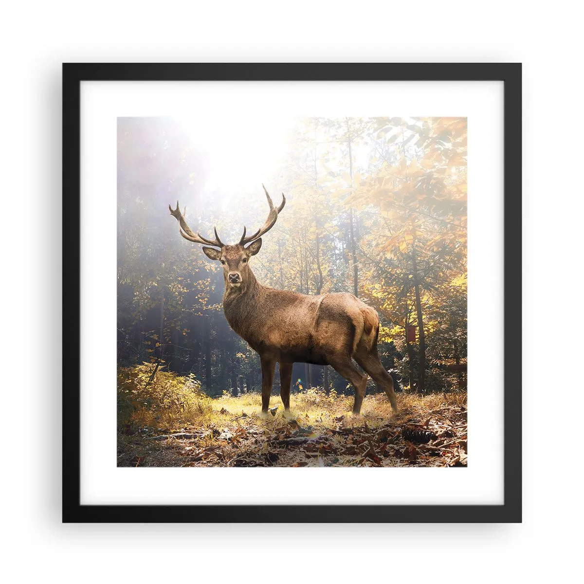 Poster în ramă neagră - Măreție calmă - 40x40 cm