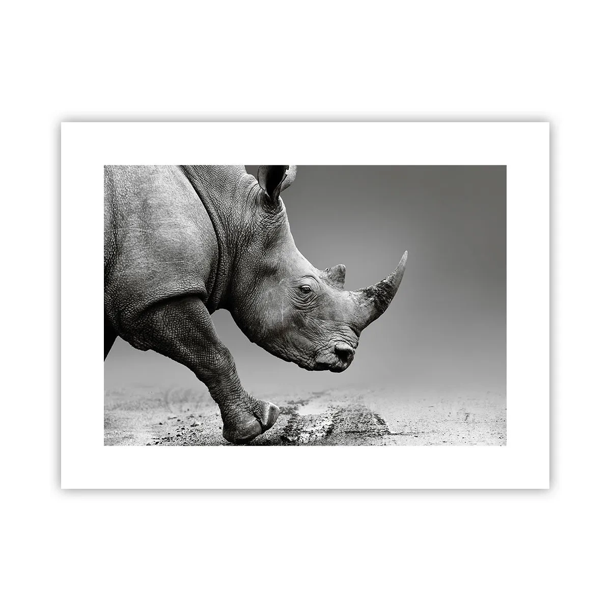 Poster - O forță de neoprit - 40x30 cm
