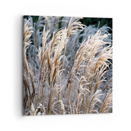 Tablou pe pânză - Împodobite cu brumă - 70x70 cm