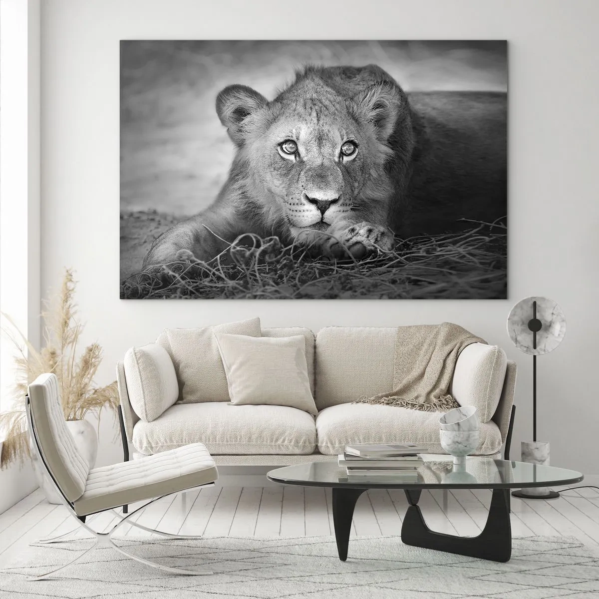 Tablou pe sticlă - Un pui de leu în alb și negru care se uită fix la cameră - 70x50cm - Pisicuța regală - Decorațiune modernă pentru perete pentru living și dormitor ARTTOR