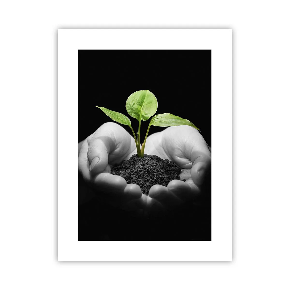 Poster - Iubesc natura, o protejez - 30x40 cm