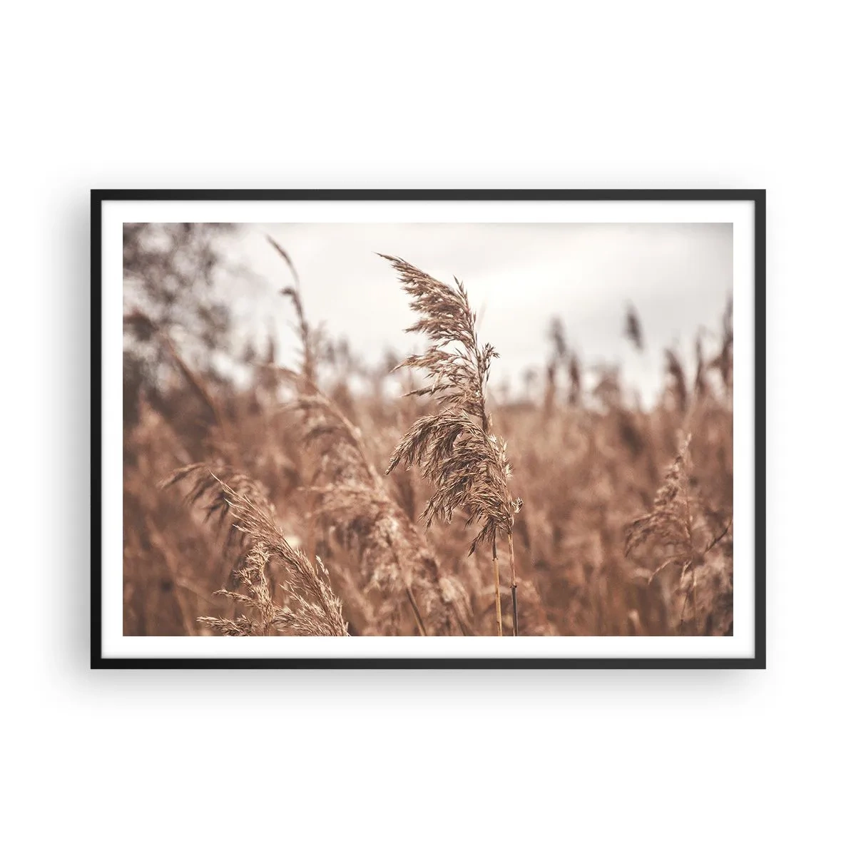 Poster în ramă neagră - Toamna pe câmpuri - 100x70 cm