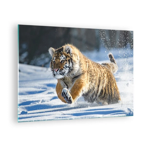 Tablou pe sticlă - Un tigru siberian aleargă prin zăpadă într-un peisaj de iarnă. - 70x50cm - Zeu al taigalei siberiene - Decorațiune modernă pentru perete pentru living și dormitor ARTTOR