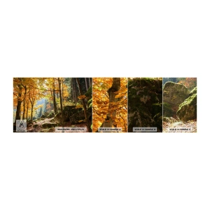 Mostră tapet autocolant Deluxe Sticker - Timp de relaxare - Peisaj, pădure, Natură - 100x30 cm